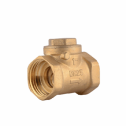 Non Return Valve