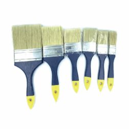 Paints Brush
